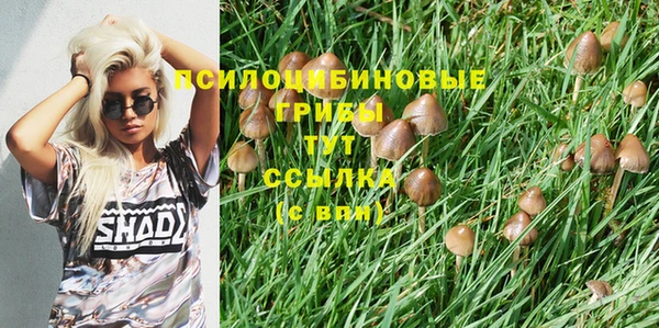 эйфоретик Алексеевка