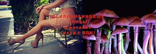 дживик Россошь
